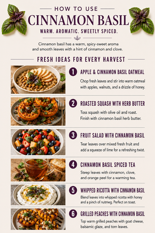 Cinnamon Basil