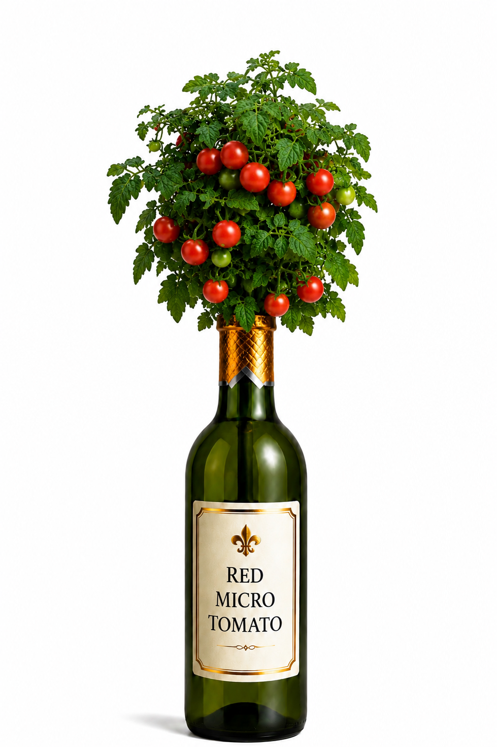 Micro Red Tomato