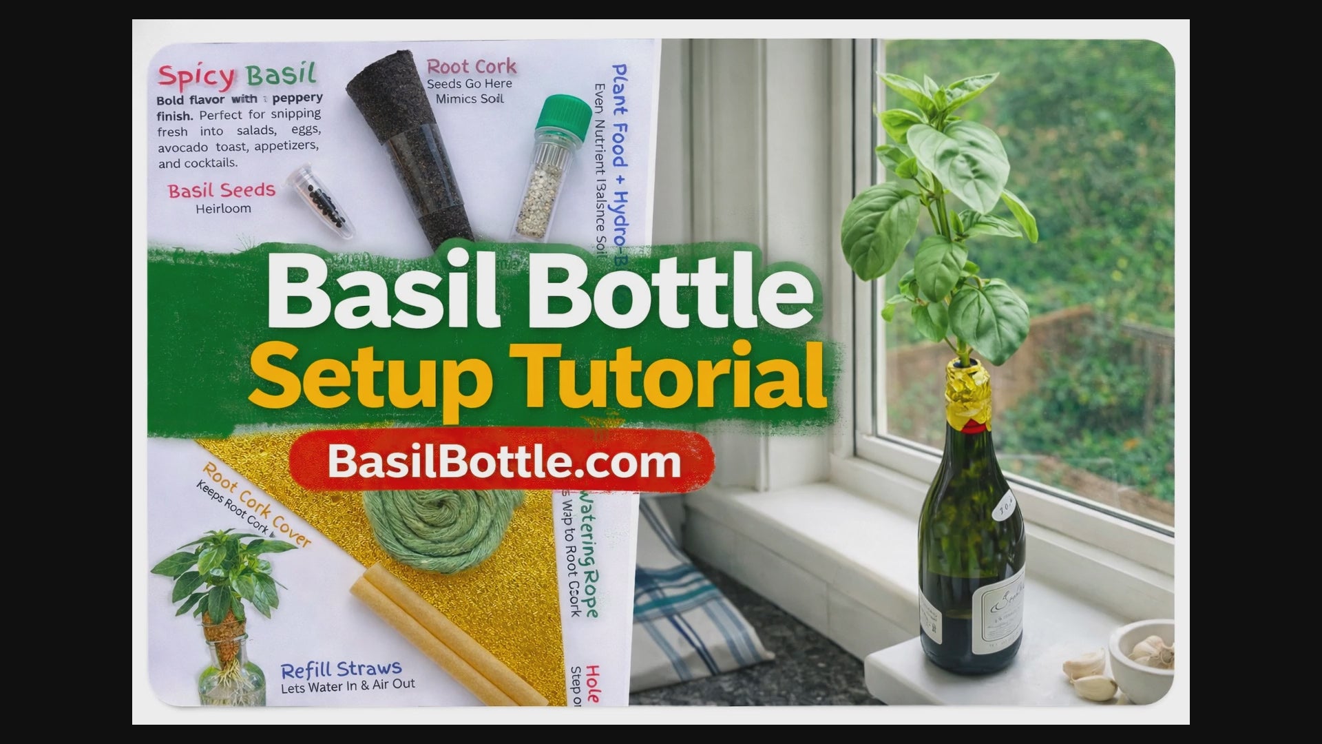 Load video: Basil Bottle Setup Tutorial